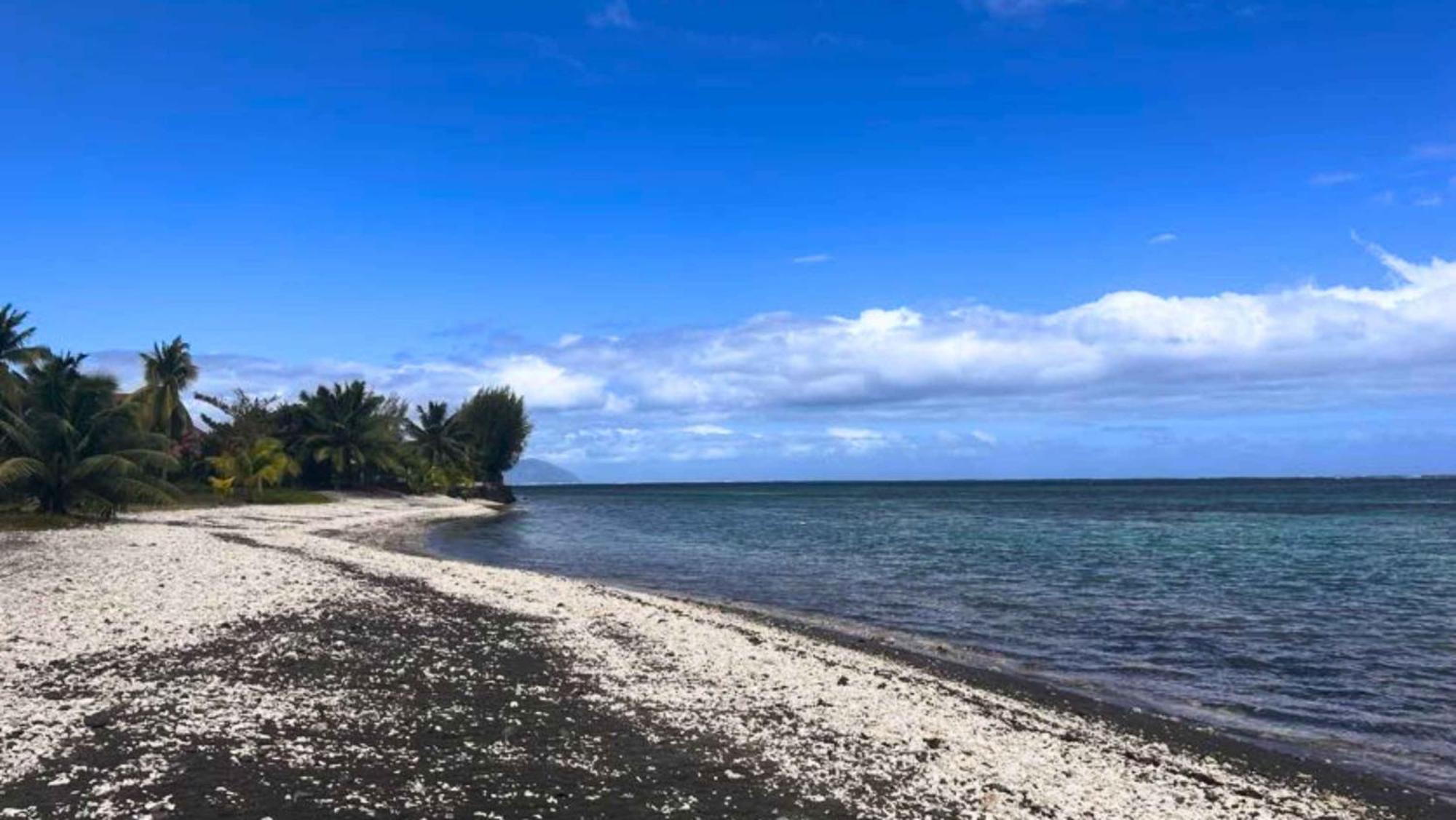 Tahiti - Domaine Mango Lodge Papara Kültér fotó